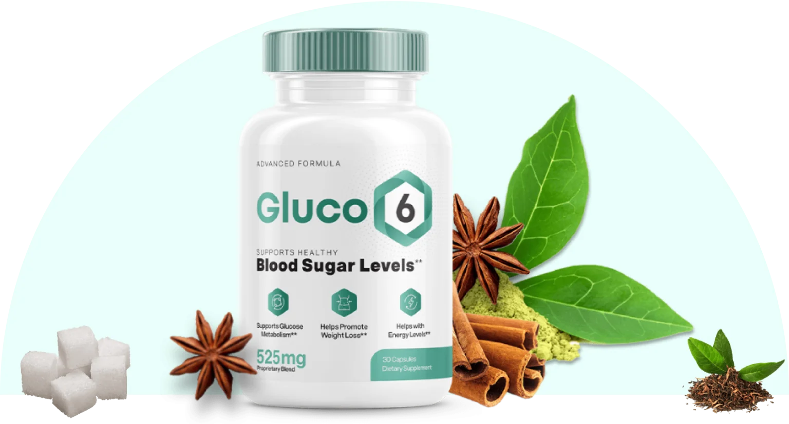 gluco6 bottle